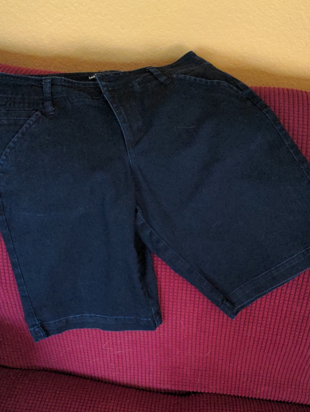 Navy Blue Casual Shorts